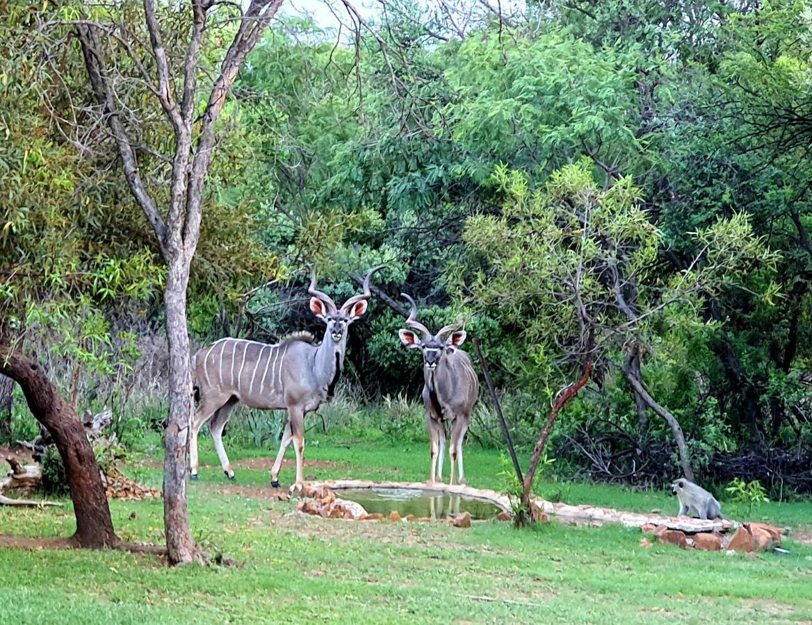 Casa de Férias Elements Private Golf Reserve 109 And Or 111